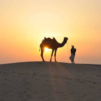 Camel ride merzouga